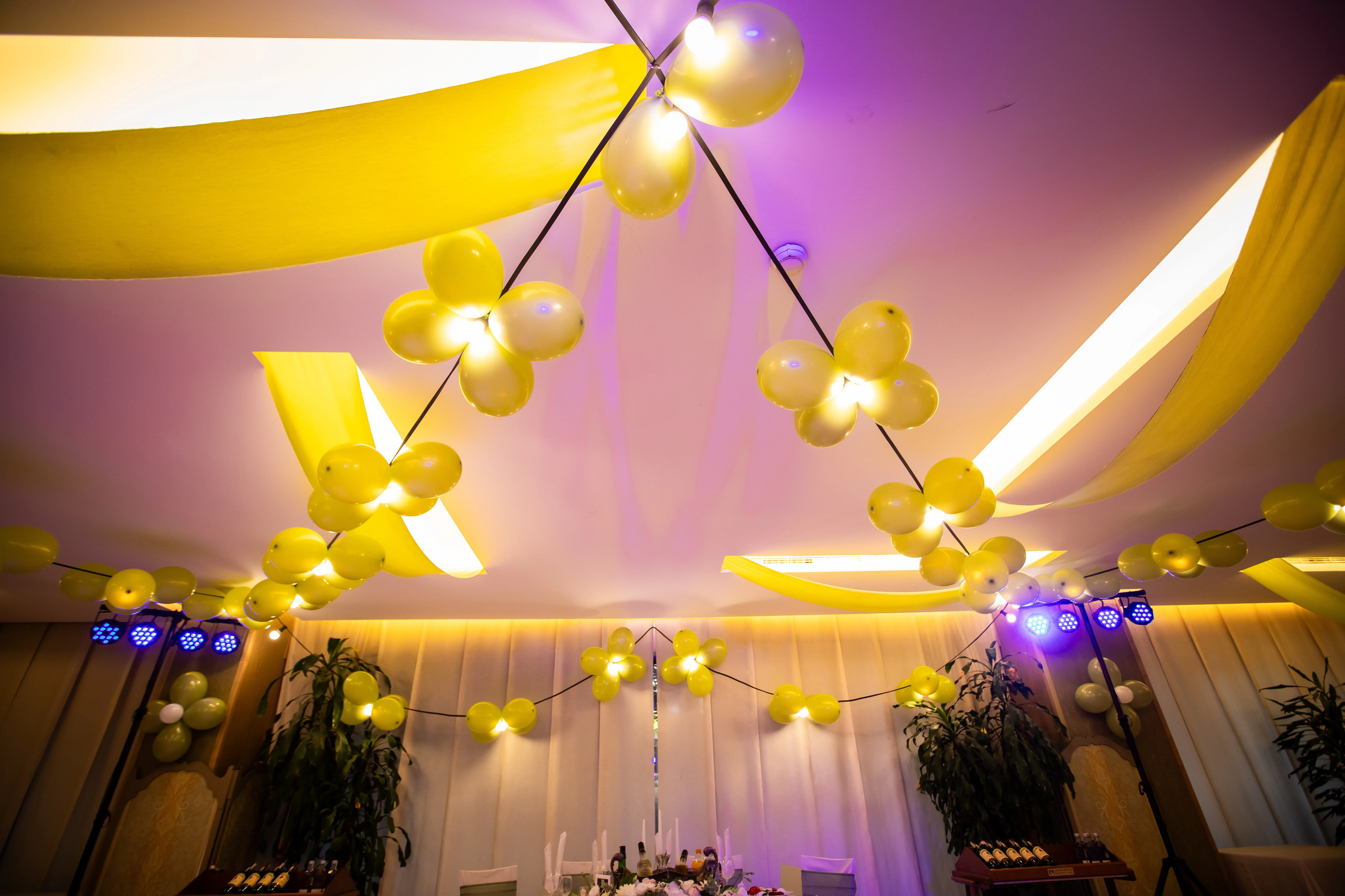 Restaurant interior